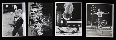 Lot 313 - Various circus photos (15)