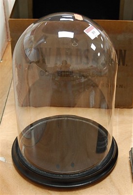 Lot 89 - A glass dome on circular ebonised plinth, h.32cm