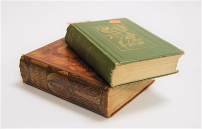 Lot 240 - W. Egmont Kirby, MD, Butterflies & Moths of...