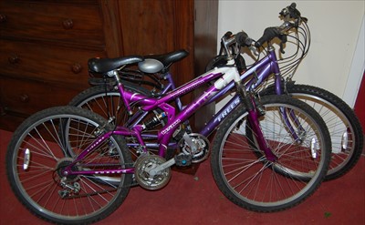 Lot 1151 - A Free Spirit Mist childs' mountain bike;...