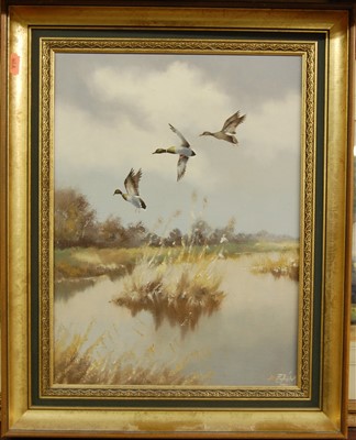 Lot 1037 - PJ Rowles-Chapman - Mallard over The Broads,...