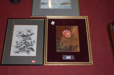 Lot 1054 - Annie Wallace - still life, oil on board,...
