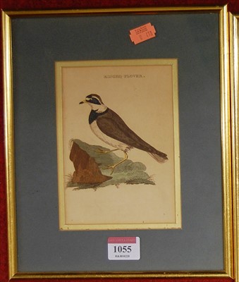 Lot 1055 - Assorted prints to include topographical...
