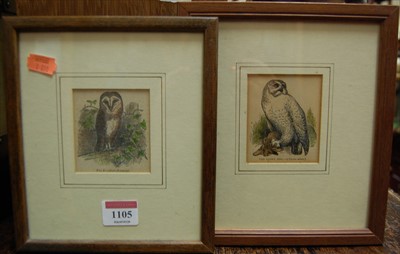 Lot 1105 - Assorted colour engravings of owls; together...