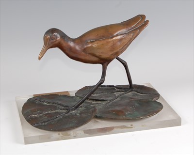 Lot 227 - Carl Roberts (b.1957) - Wattled Jacana walking...