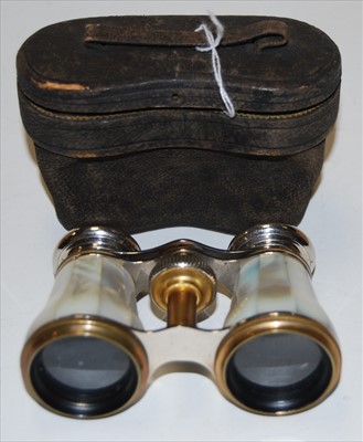 Lot 241 - A cased pair of lacquered brass and...
