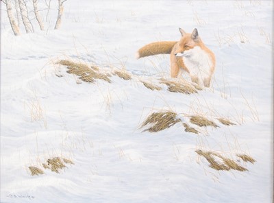 Lot 1049 - Jerry S. Waide (b.1948) - Fox in a winter...