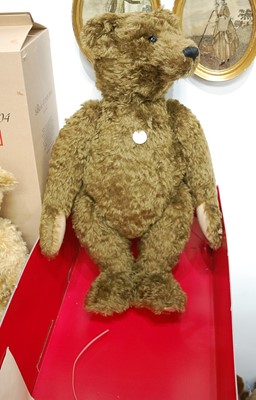 Lot 560 - A large Steiff teddy-bear 1907 Brown 70, in...