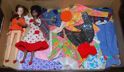 Lot 1507 - A collection of Pippa Dolls and clothing