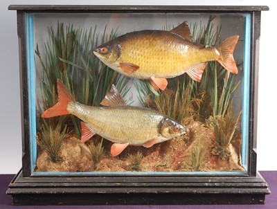 Lot 271 - Attributed to W.F. Homer of Forest Gate, London
