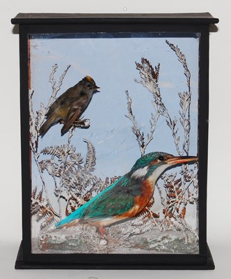 Lot 525 - * A taxidermy Firecrest (Regulus ignicapilla)...