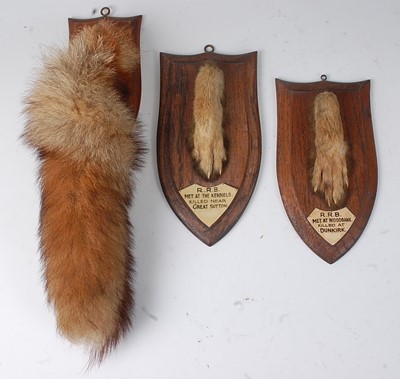 Lot 553 - * An mid-20th century taxidermy Fox (Vulpes...