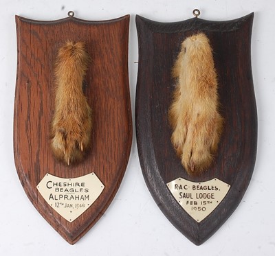 Lot 566 - * A mid-20th century taxidermy Fox (Vulpes...