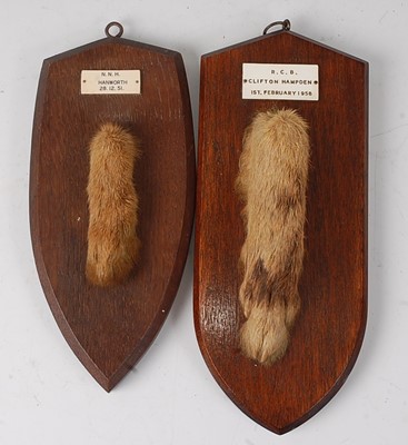 Lot 565 - * A mid-20th century taxidermy Fox (Vulpes...