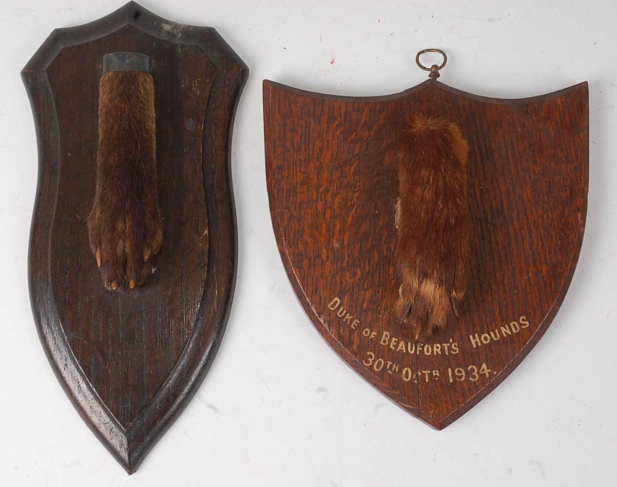 Lot 563 - * An early 20th century taxidermy Fox (Vulpes...