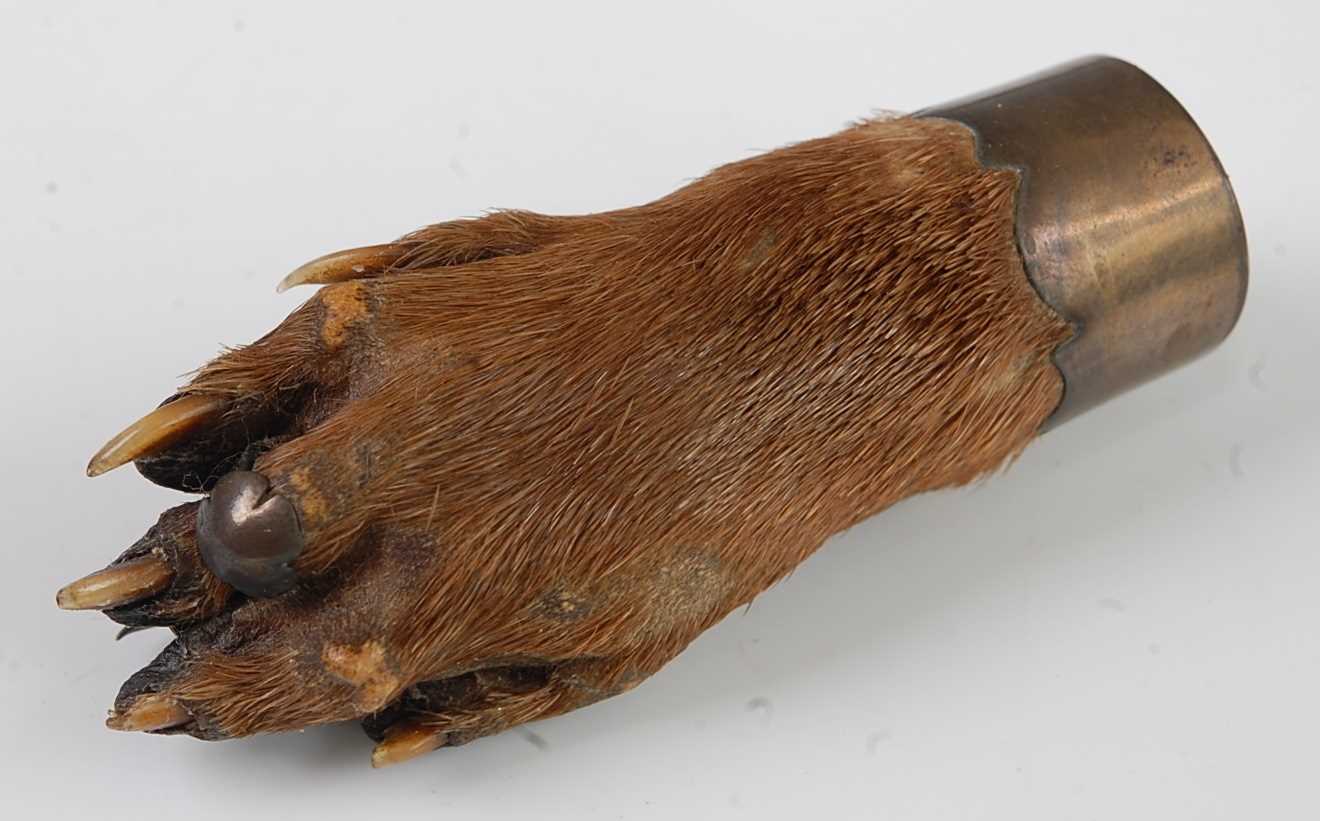 Lot 554 - * A taxidermy Otter (Lutra lutra) pad brooch,...
