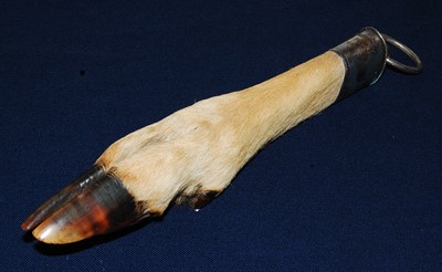 Lot 577 - * An early 20th century taxidermy Deer slot,...