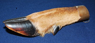 Lot 578 - * An early 20th century taxidermy Deer slot,...