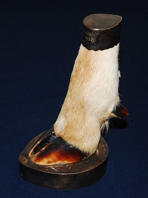 Lot 579 - * A 20th century taxidermy Deer slot, having a...