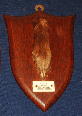 Lot 585 - * An early 20th century taxidermy Fox (Vulpes...
