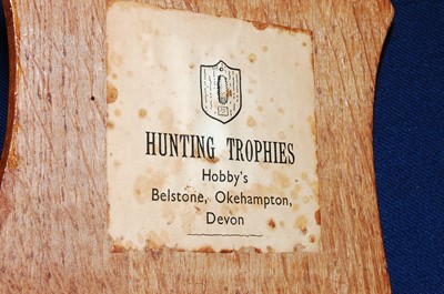 Lot 592 - * A 20th century taxidermy Deer slot, mounted...