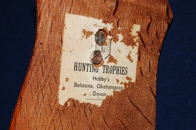 Lot 586 - * A 20th century taxidermy Deer slot, mounted...