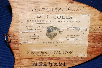Lot 584 - * An early 20th century taxidermy Deer slot,...
