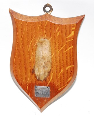 Lot 616 - * An early 20th century taxidermy Fox (Vulpes...