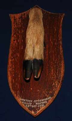 Lot 621 - * An early 20th century taxidermy Deer slot,...
