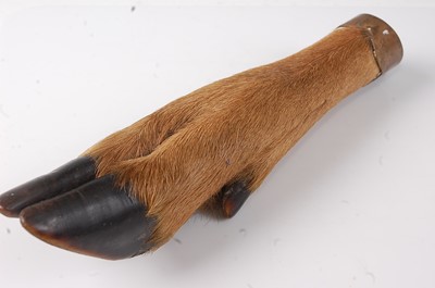Lot 627 - * An early 20th century taxidermy Deer slot,...