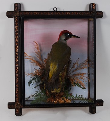 Lot 658 - * A taxidermy Green Woodpecker (Picus viridis),...