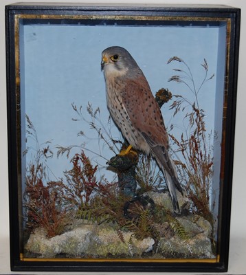 Lot 672 - * In the manner of John Cooper and Sons, a...