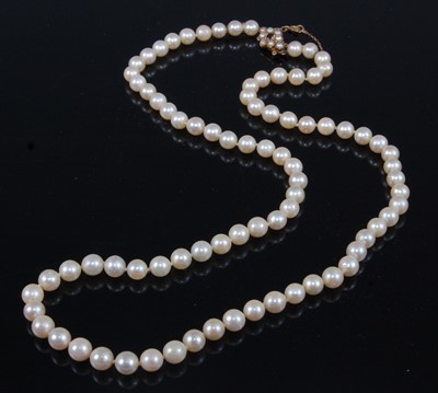 Lot 2635 - A single row necklet of eighty-two 6.7 to 7mm...