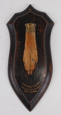 Lot 722 - * An early 20th century taxidermy Fox (Vulpes...