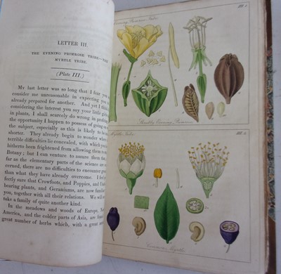 Lot 1002 - LINDLEY, John. Ladies’ Botany. James Ridgway...