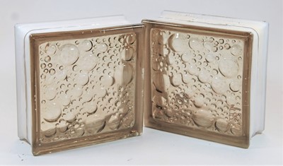 Lot 42 - A pair of smoked glass window bricks with...