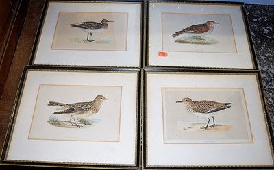 Lot 1055 - A set of eight 19th century botanical colour...
