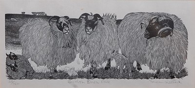 Lot 243 - *Modern British School - Scottish black-face,...