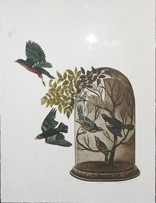 Lot 245 - Susan Jameson (b.1944) - Flight, etching with...