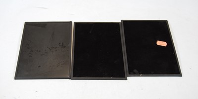 Lot 528 - Three modern glass photographic plates, being...