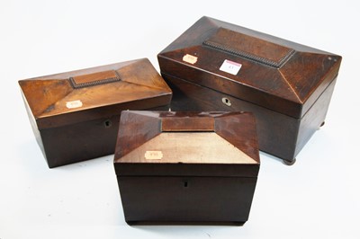 Lot 43 - A Regency rosewood tea caddy of sarcophagus...
