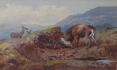 Lot 482 - Archibald Thorburn (1860-1935), Stag within a...