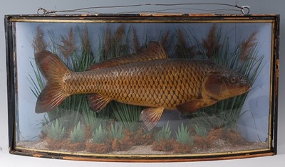 Lot 739 - Attributed to J. Cooper and Sons, a circa 1900...