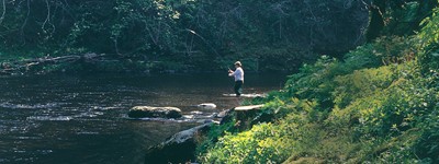 Lot 47 - A Week’s Salmon Fishing for 2 near Blairgowrie,...