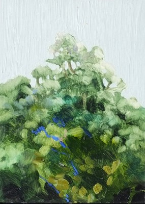 Lot 55 - Jelly Green Painting The Canopy 14 Jelly Green,...