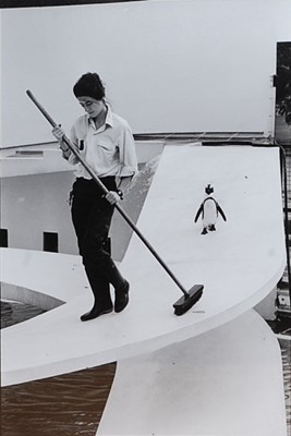 Lot 264 - David Gibson (b.1957) - London Zoo 1992,...