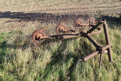 Lot 137 - Hay Turner