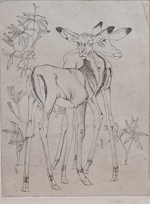 Lot 237 - 1930s British School - Two Standing Roe Deer,...