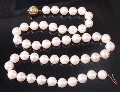 Lot 2543 - A single row necklace of forty-seven approx...