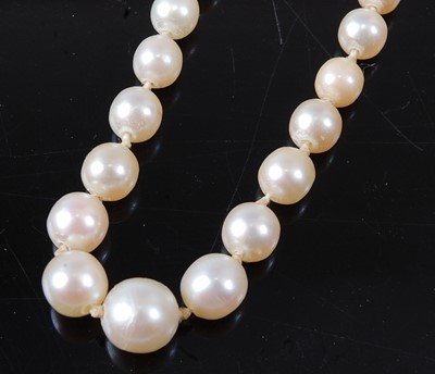 Lot 2812 - A pearl single string necklace, the graduated...